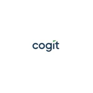 Controlling finansowy - Wdrożenia business intelligence - Cogit